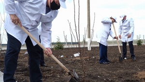 Первый миндальный сад заложили в Ставропольском крае