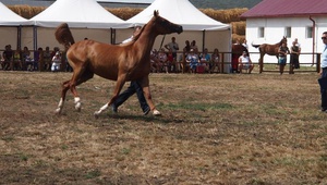 Хроники Терского. Терский туристический.