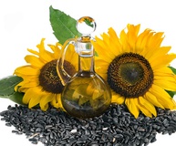 Подсолнечник