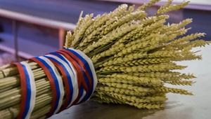 Атташе по АПК РФ могли бы стать дополнительным инструментом для ставропольских аграриев-экспортеров