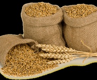 Услуги по очистке зерна