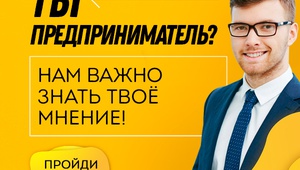 Предпринимателей Ставрополья приглашают пройти опрос