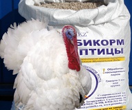 Комбикорм для индейки